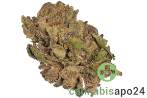 Canify Cannabis flos 1/14 LS Ku Maluti CBD