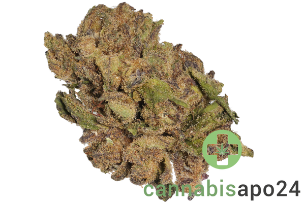 Canify Cannabis flos 1/14 LS Ku Maluti CBD