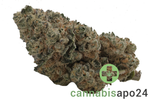 Enua 30/1 PS3 CA JFG Jet Fuel Gelato