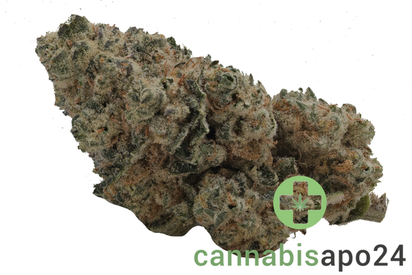 Enua 30/1 PS3 CA JFG Jet Fuel Gelato