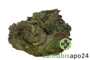 HiDealz 24/1 MS PIK Pink Kush - smalls