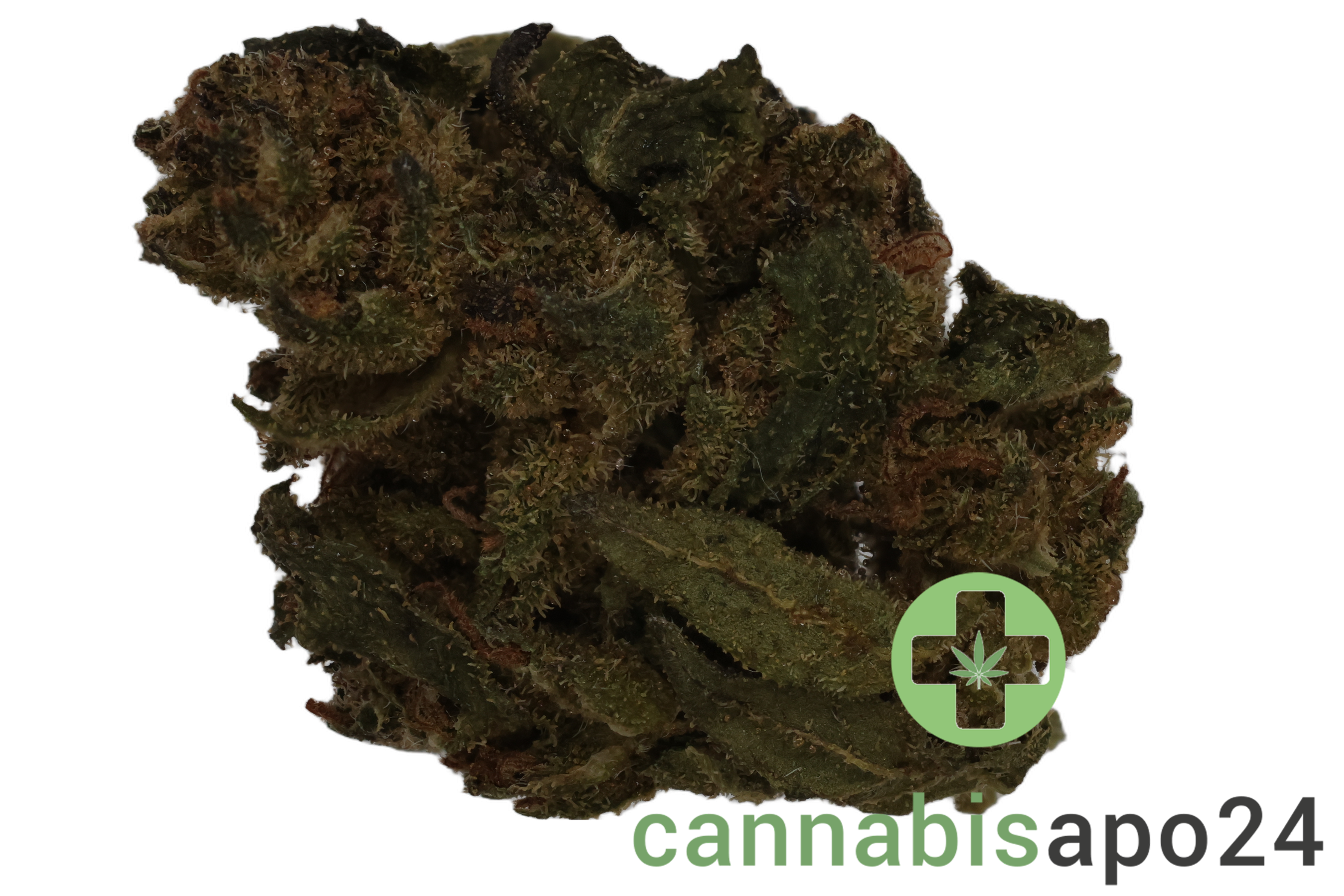 HiDealz 24/1 MS LIB Liberty Haze - smalls
