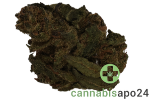 HiDealz 24/1 MS LIB Liberty Haze - smalls