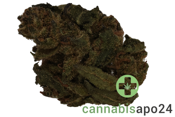 HiDealz 24/1 MS LIB Liberty Haze - smalls