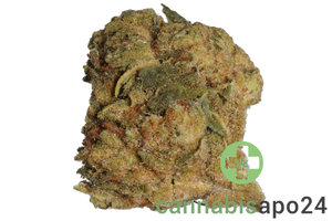 HiDealz 24/1 MS PAB Papaya Bomb - smalls