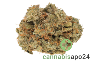 HiDealz 27/1 XOP CIT Citrus Tsunami