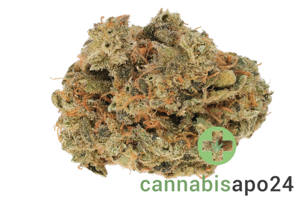 HiDealz 27/1 XOP CIT Citrus Tsunami