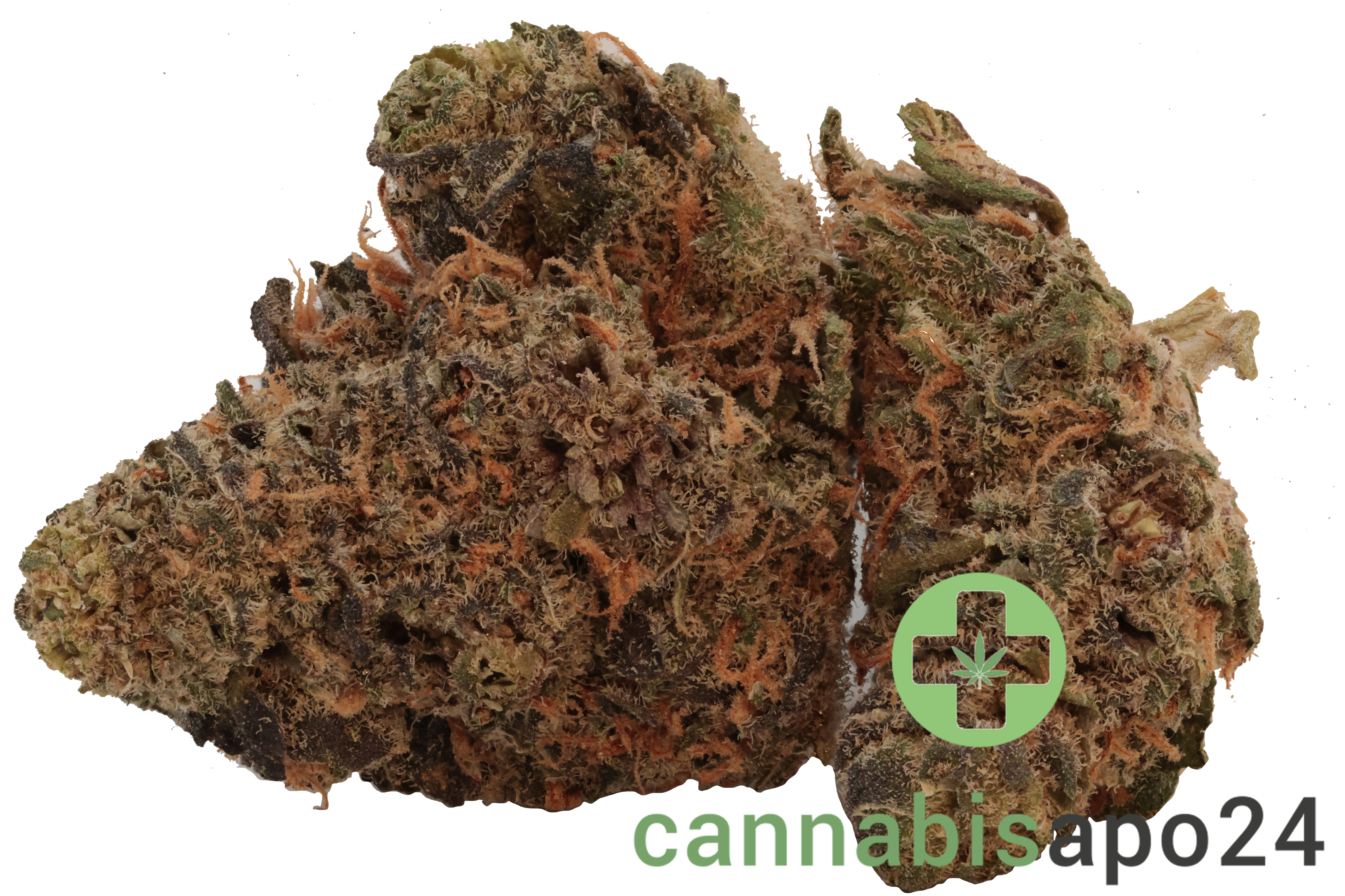 Huala 25/1 CA SCO Scoops