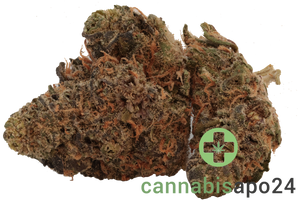 Huala 25/1 CA SCO Scoops