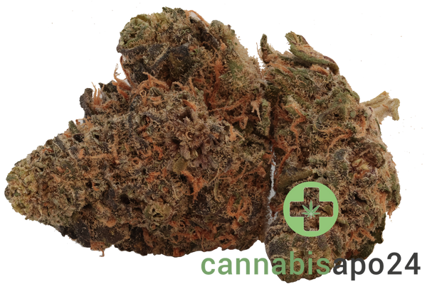 Huala 25/1 CA SCO Scoops