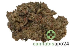 Huala 30/1 CA BKM Banana Kush Mints