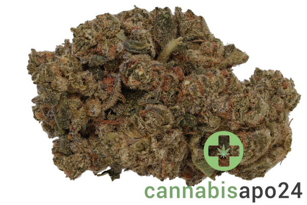 Huala 30/1 CA BKM Banana Kush Mints