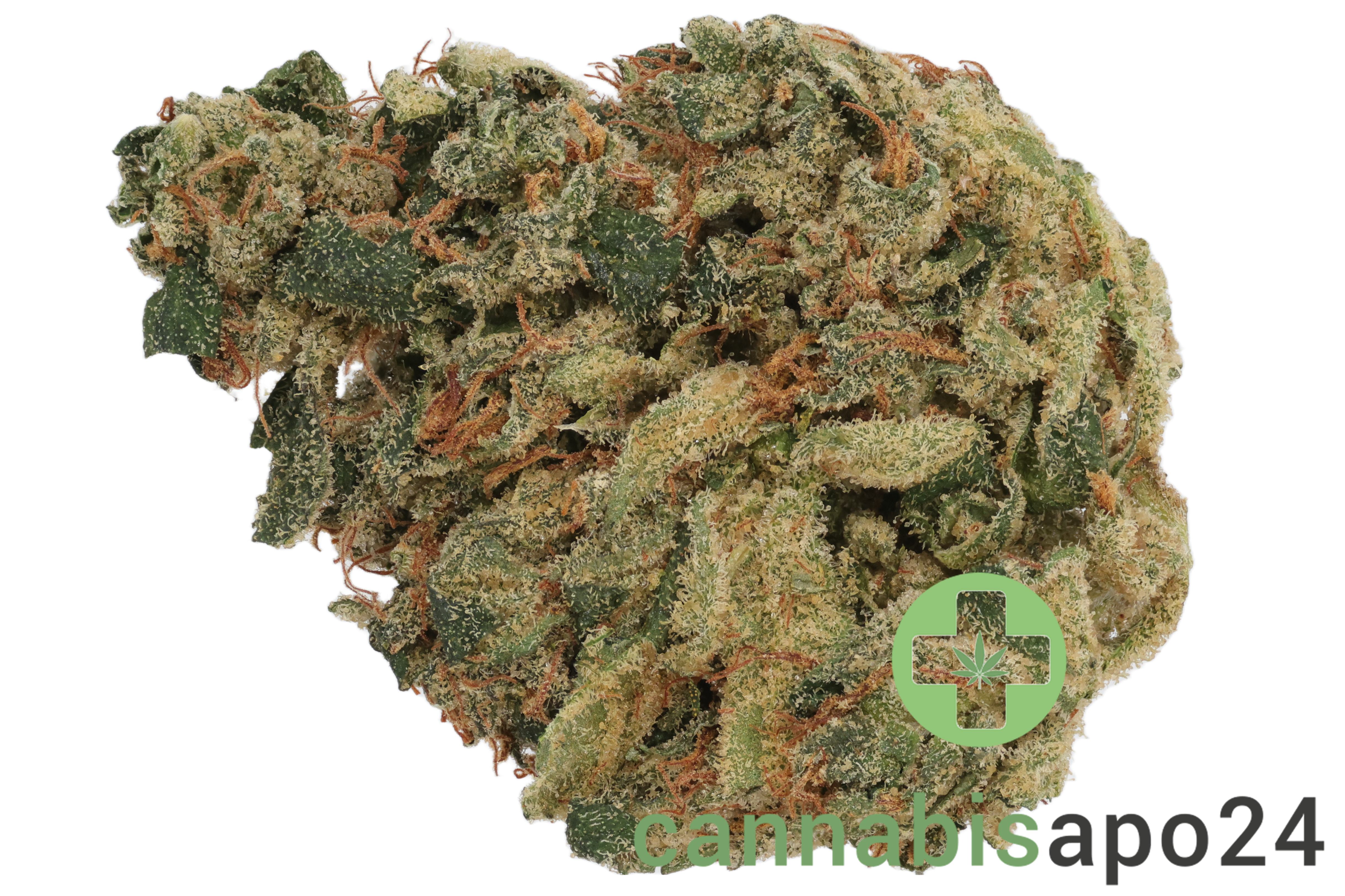 Huala 30/1 CA JFL Jack Flash