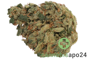 Huala 30/1 CA JFL Jack Flash