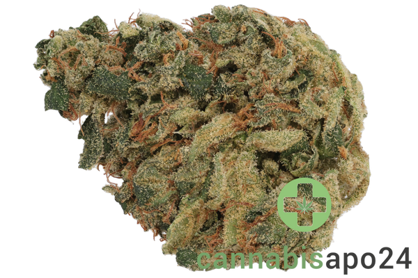 Huala 30/1 CA JFL Jack Flash