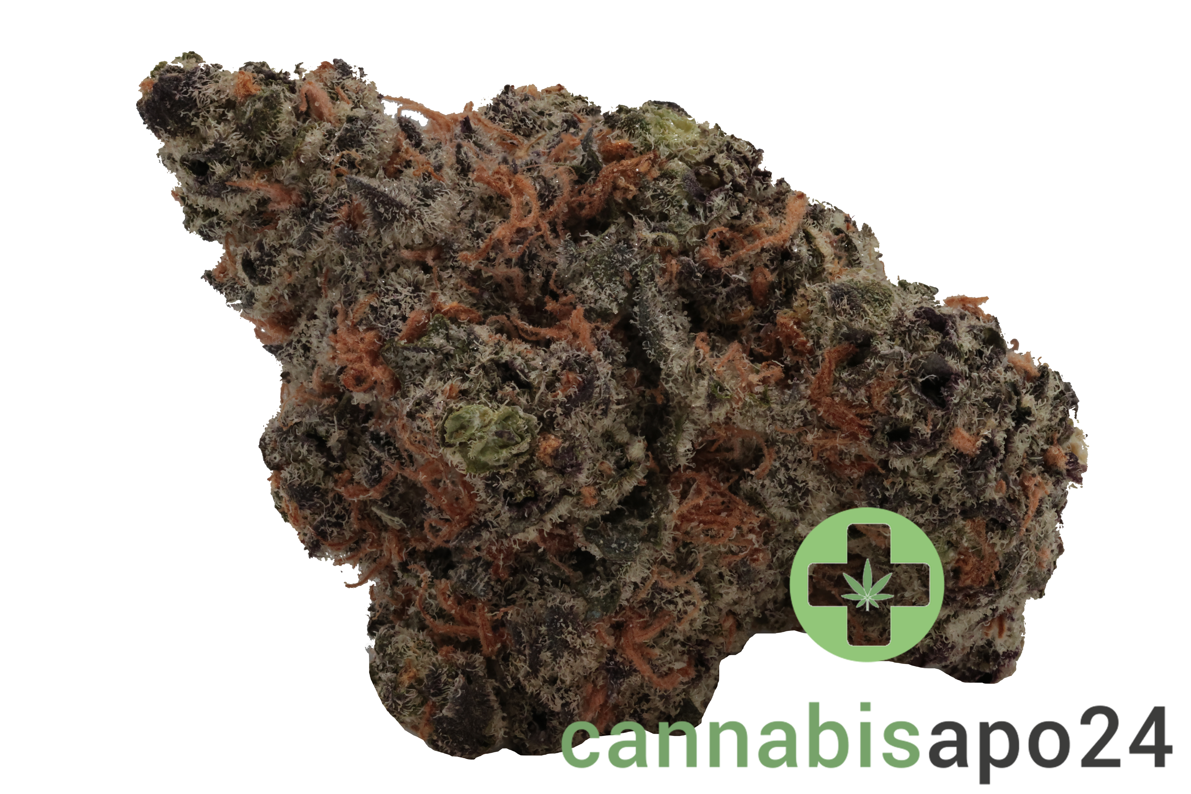 IMC NCH THC18 Nag Champa