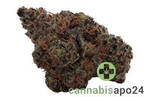 IMC NCH THC18 Nag Champa