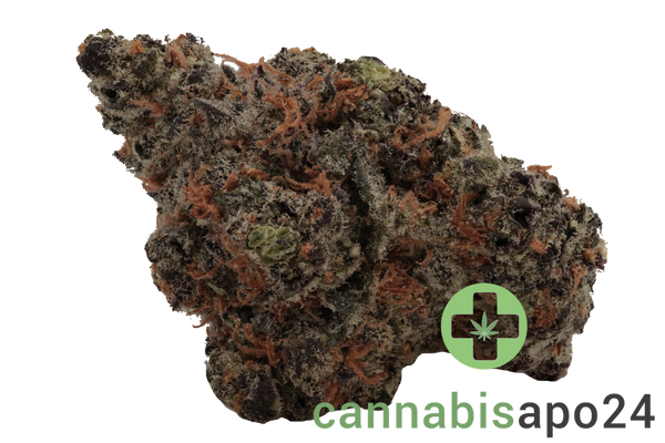 IMC NCH THC18 Nag Champa