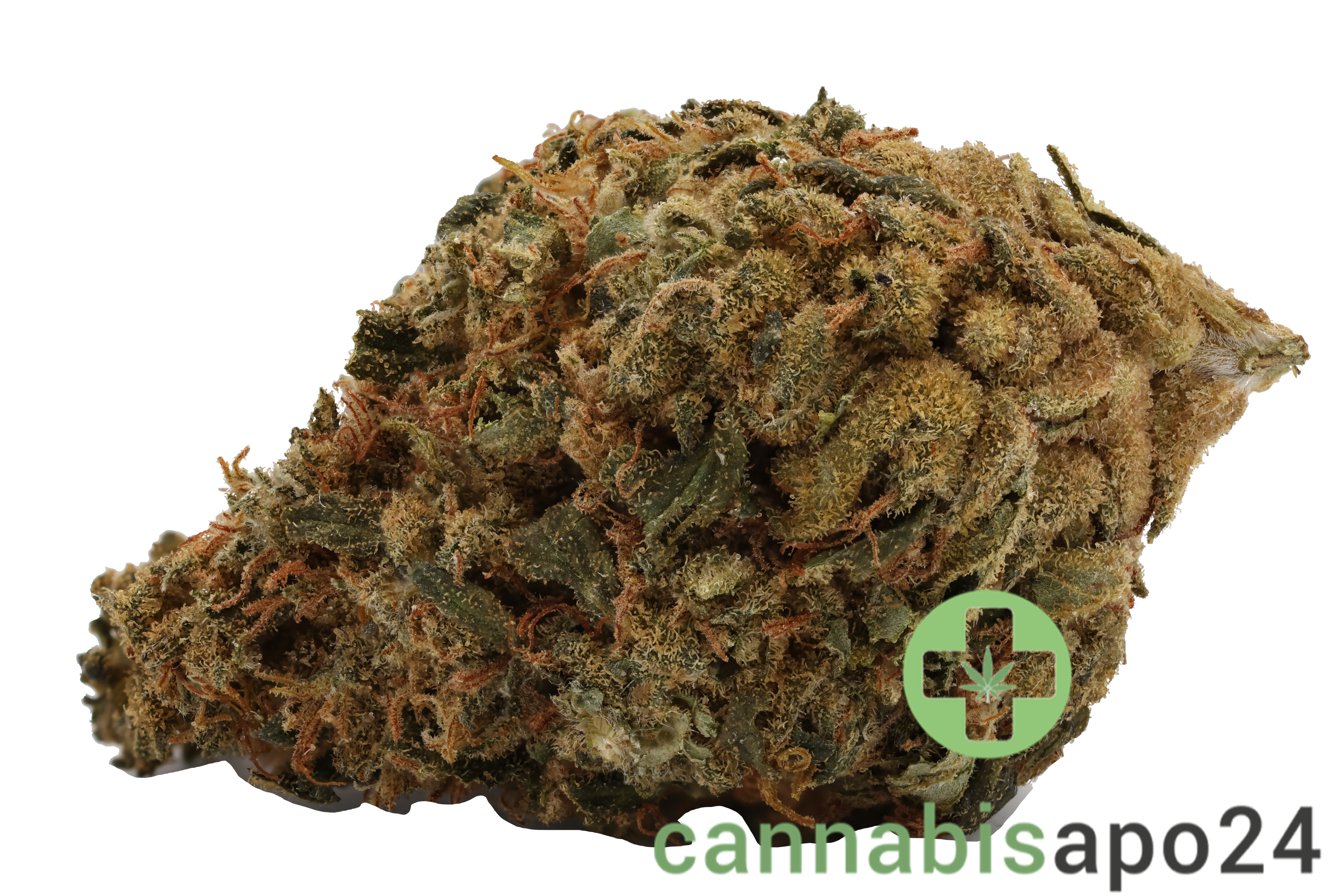 IMC THC20 T01 Hindu Kush