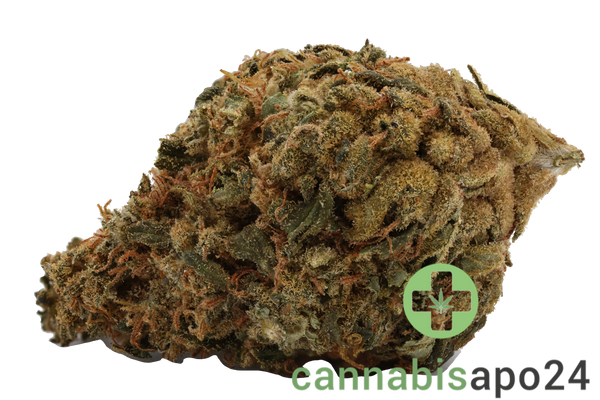 IMC THC20 T01 Hindu Kush