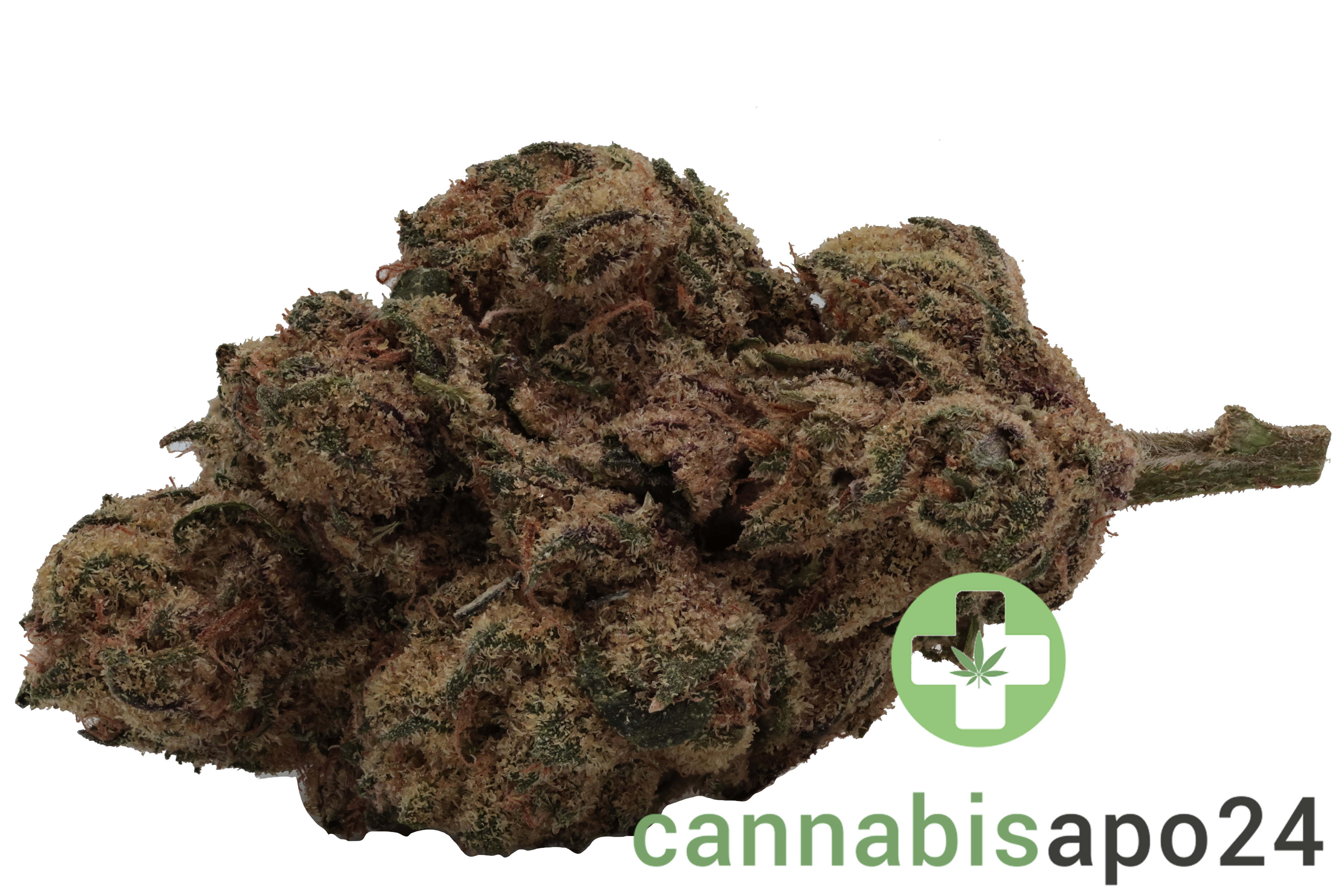 IMC GRZ THC22 MIDS Jungle Pop
