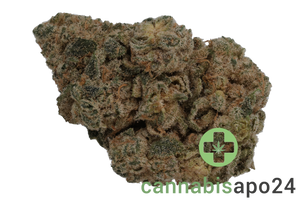 IMC Selected TF THC26 Taffy Fuel