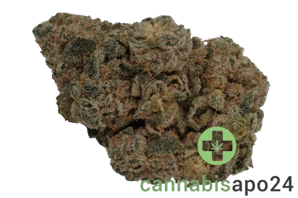 IMC Selected TF THC26 Taffy Fuel