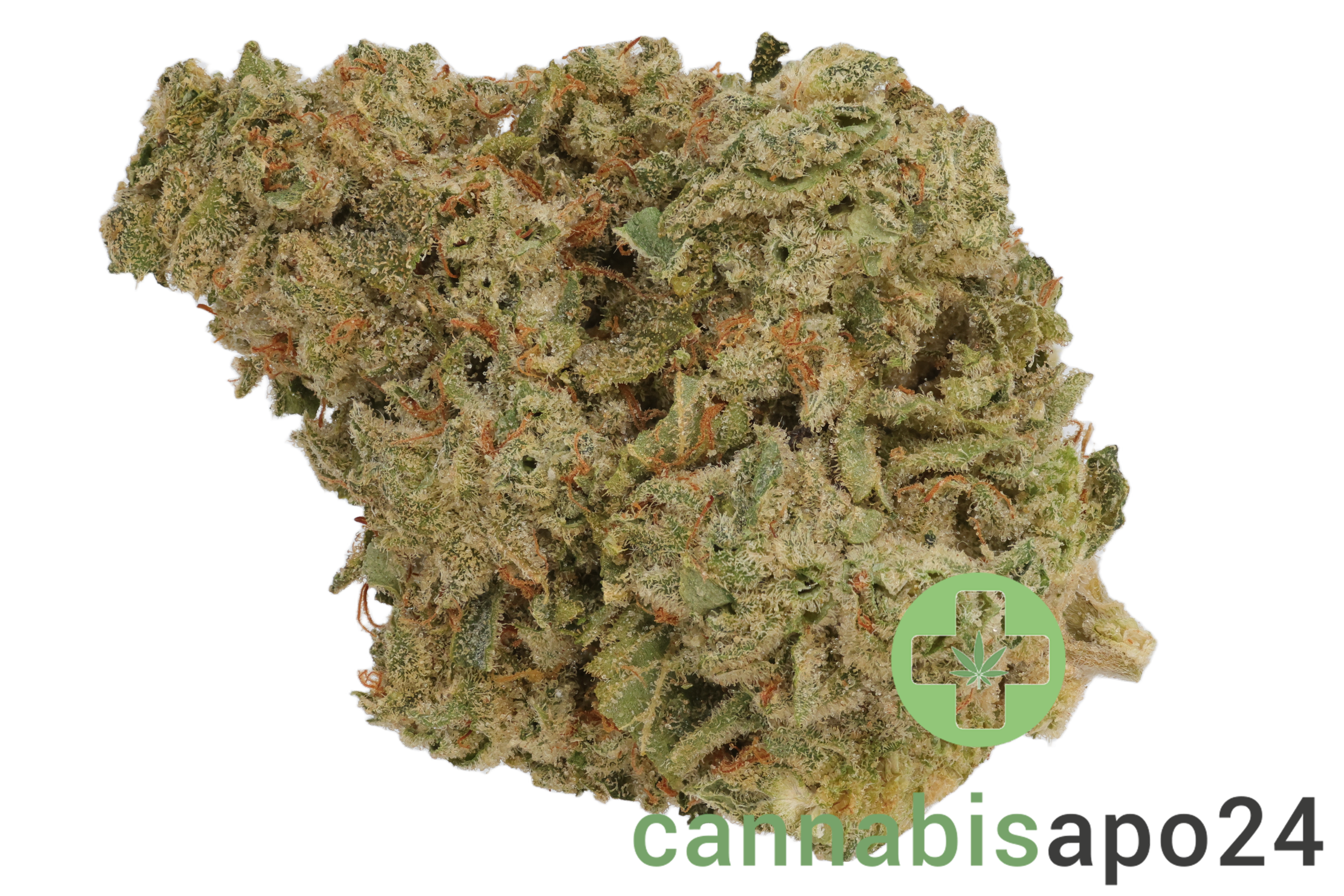 IMC Token GC THC23 Gorilla's Chocolate