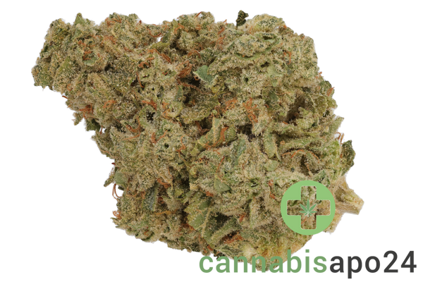 IMC Token GC THC23 Gorilla's Chocolate