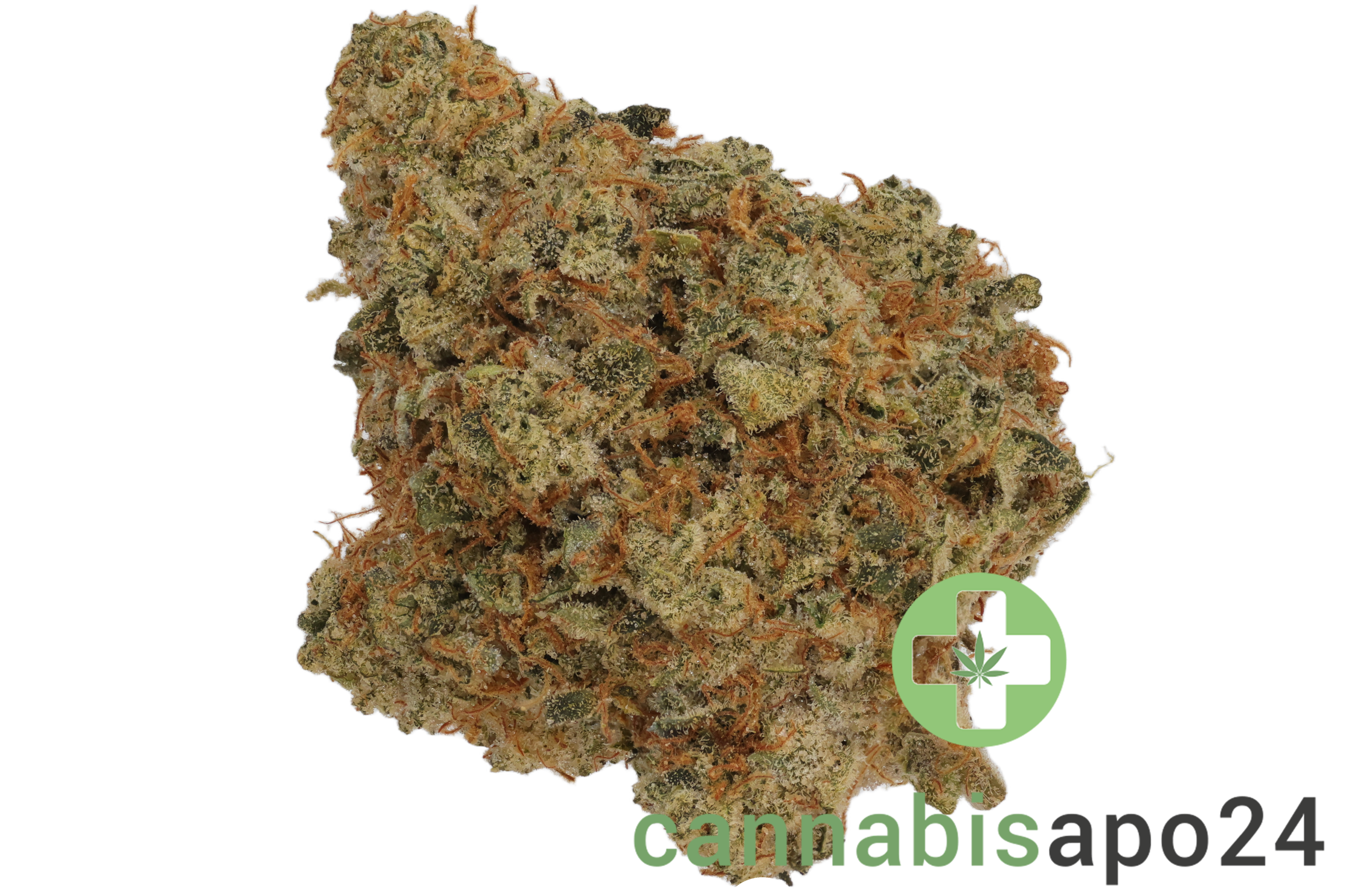 Island Genetics KOGP 27/1 Kool Grapes