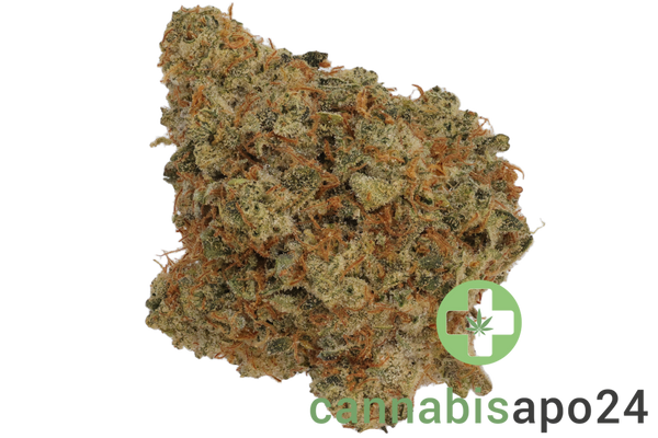 Island Genetics KOGP 27/1 Kool Grapes