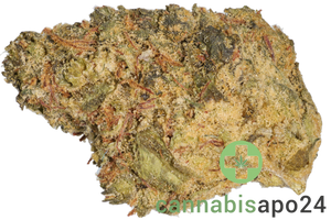 Kush Collective CBH 30/1 Cuban Haze