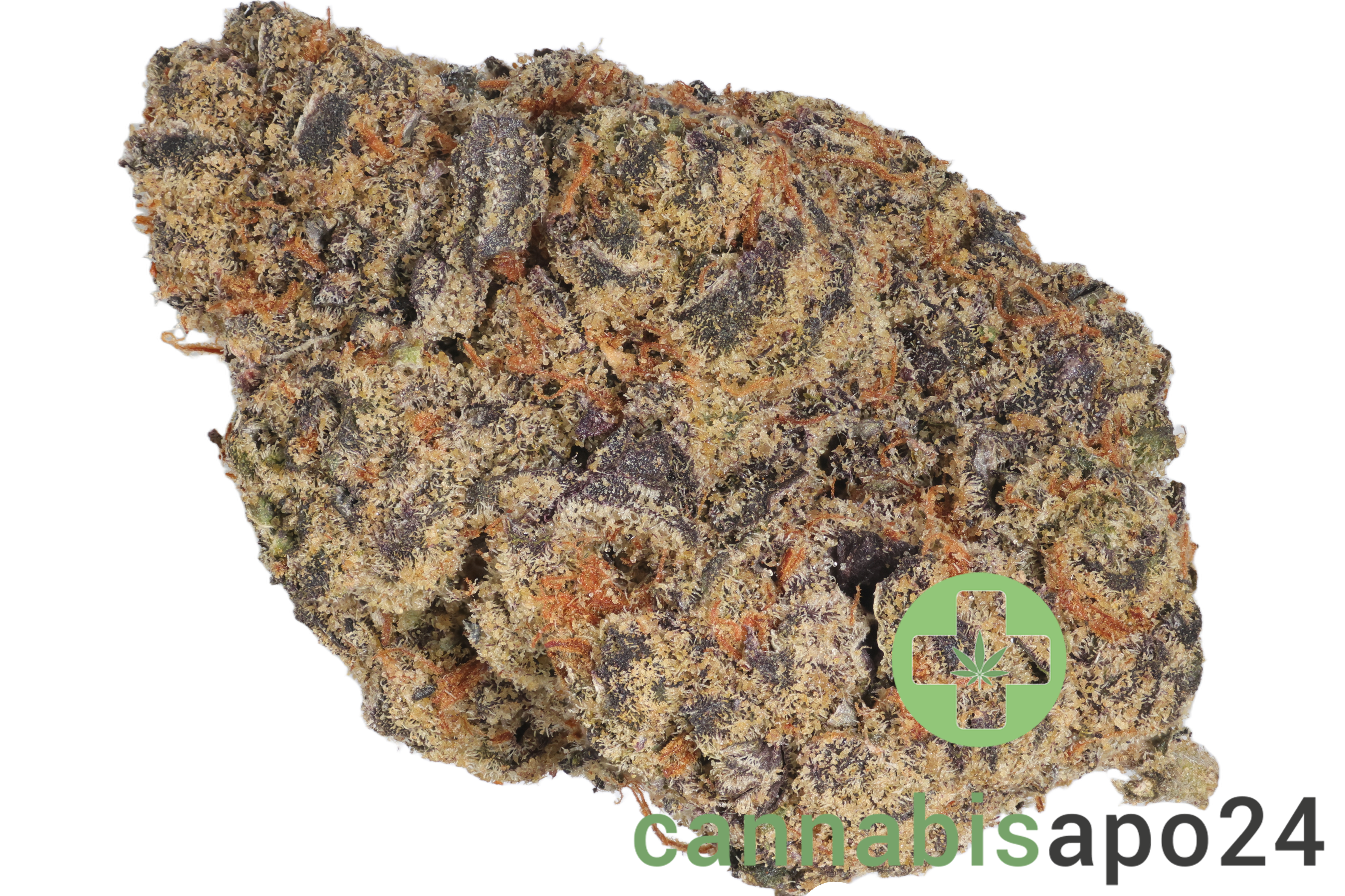 LIGHV Trials 26/1 BBL Blueberry Banana Lobster