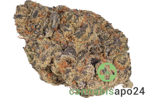 LIGHV Trials 26/1 BBL Blueberry Banana Lobster