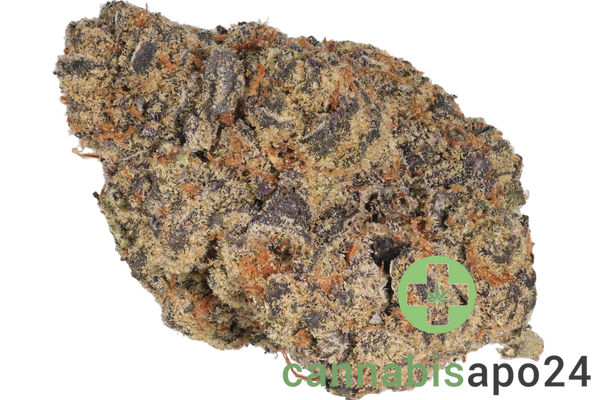 LIGHV Trials 26/1 BBL Blueberry Banana Lobster