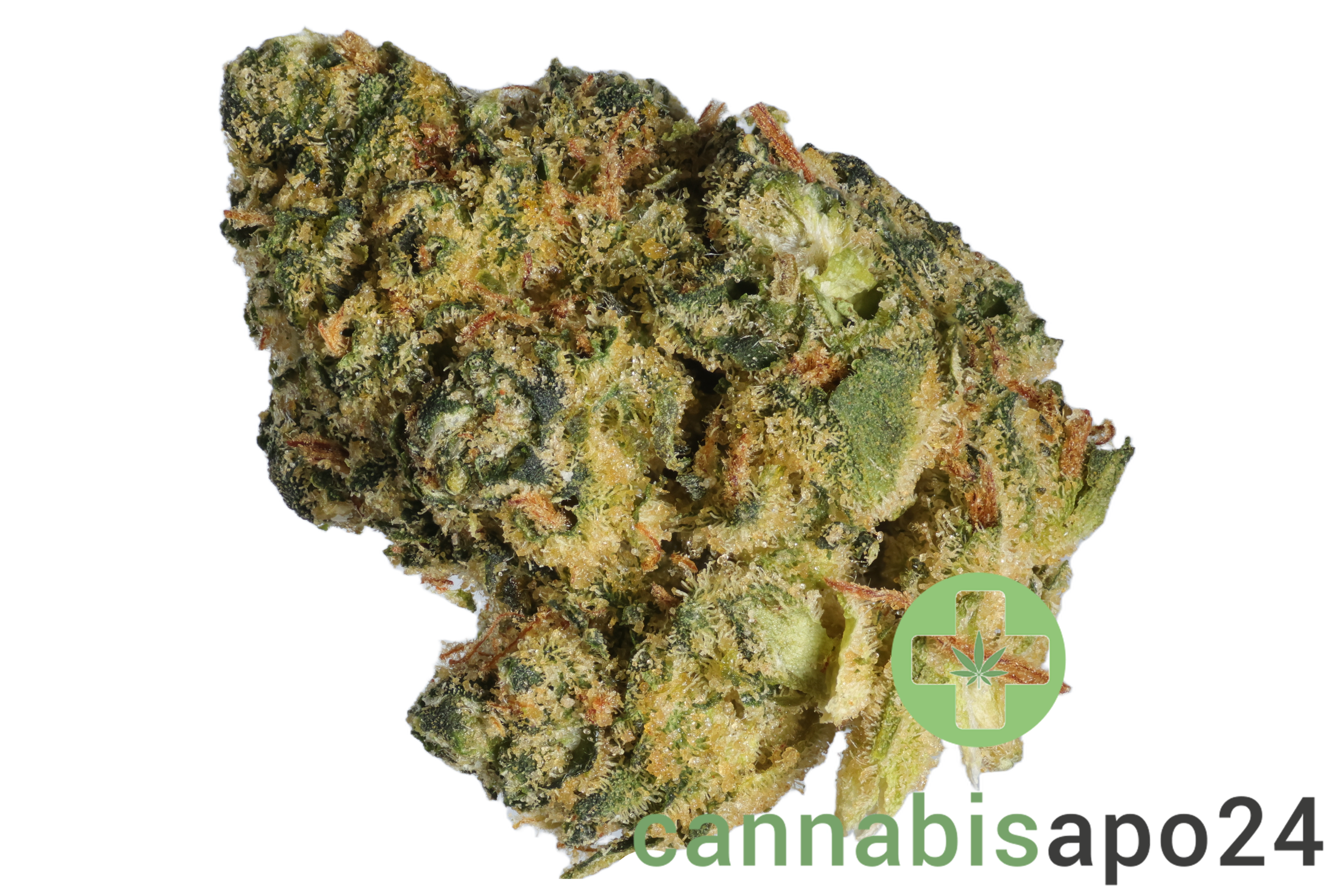 Lit 35/1 STA Sticky Apple