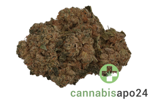 Luana 28/1 Durban Poison