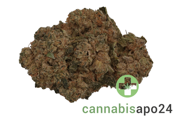 Luana 28/1 Durban Poison