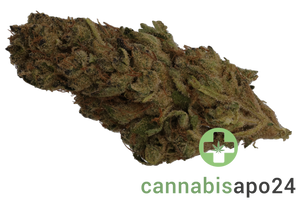 Luana Kush 28/1 Hippie Kush