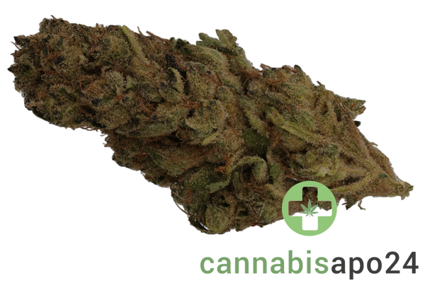 Luana Kush 28/1 Hippie Kush