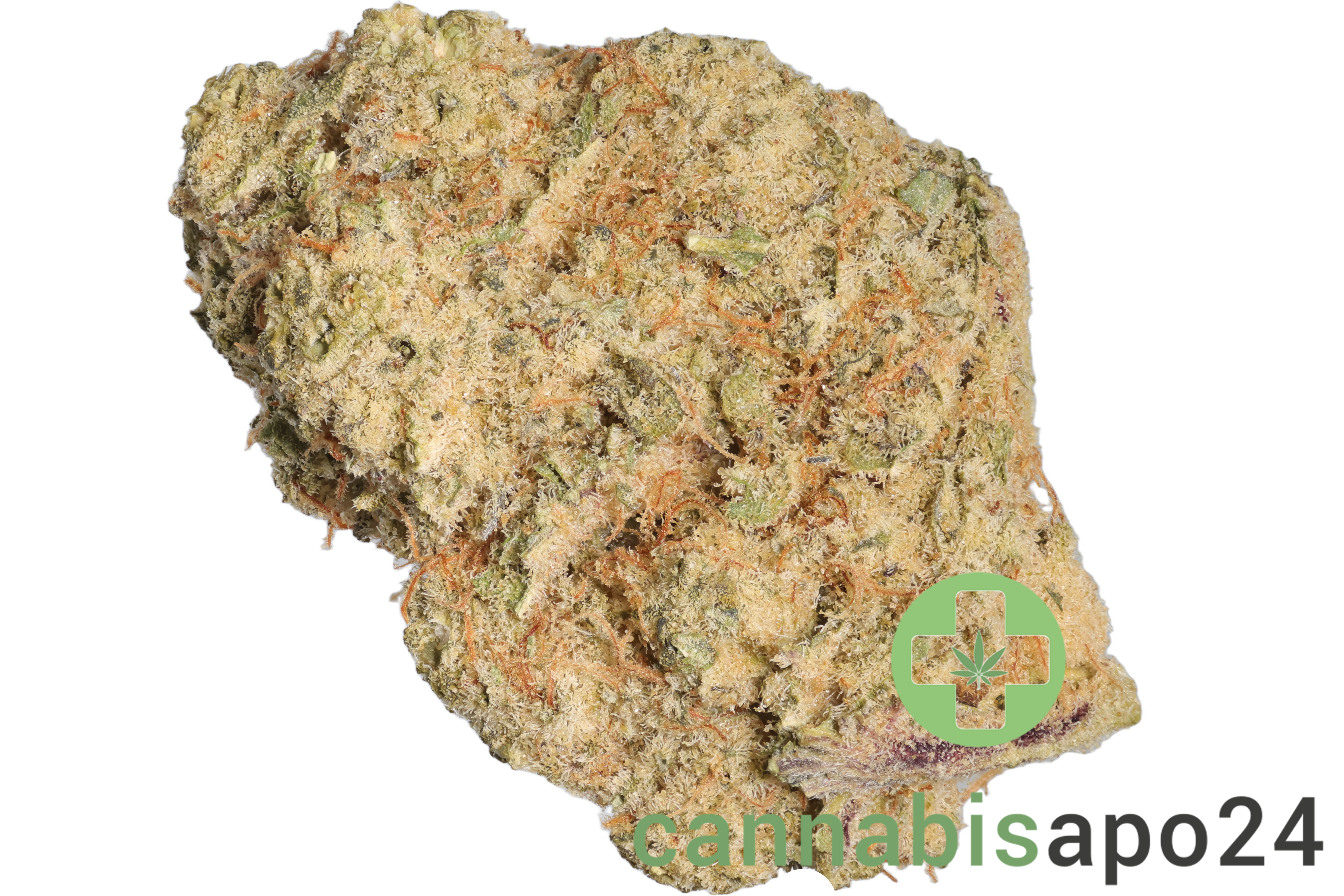 Medical Saints 21/1 MC1 Mac 1