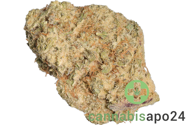 Medical Saints 21/1 MC1 Mac 1