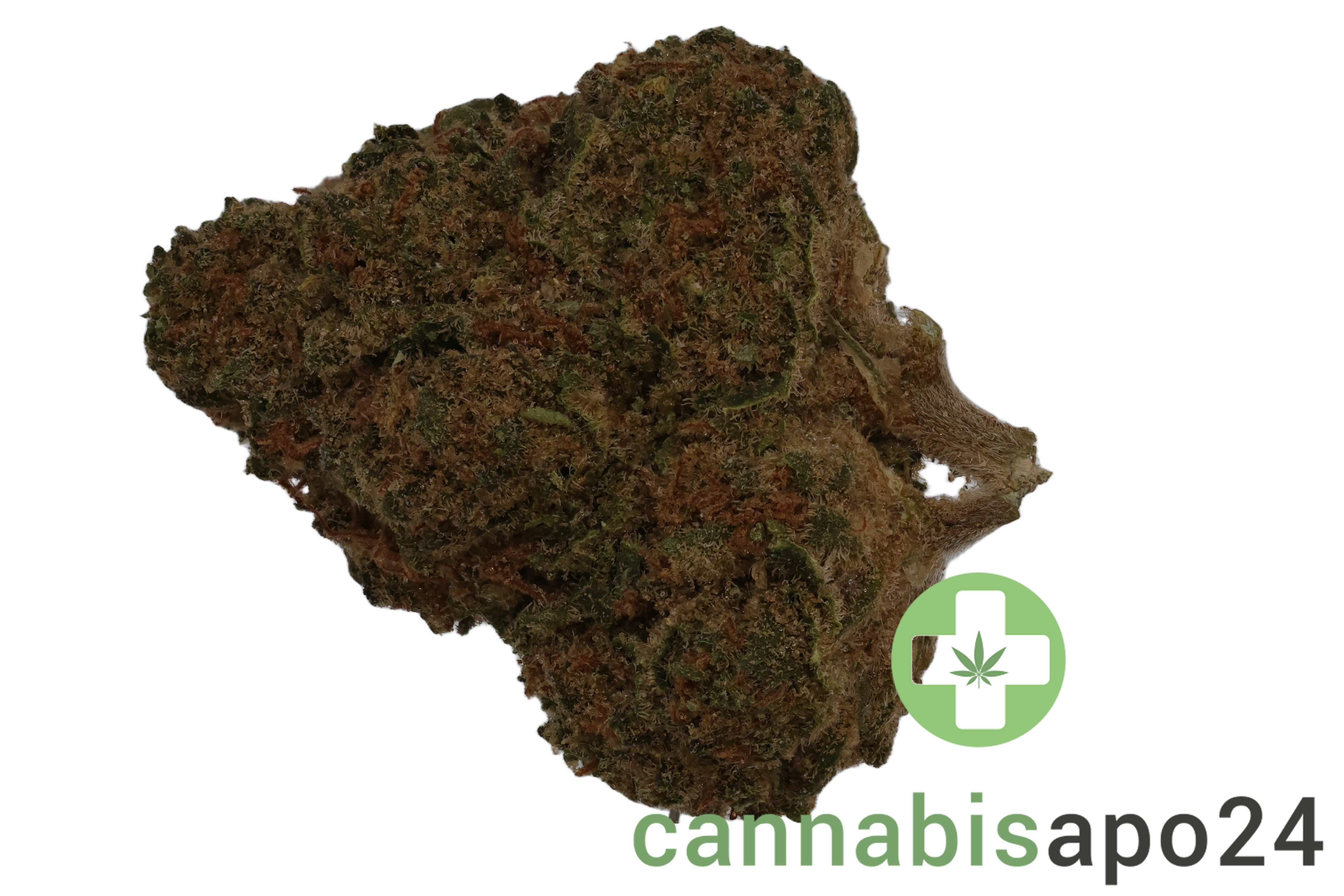 NOC AS 25 ARG Amnesia Kush x Sherbet Shocker