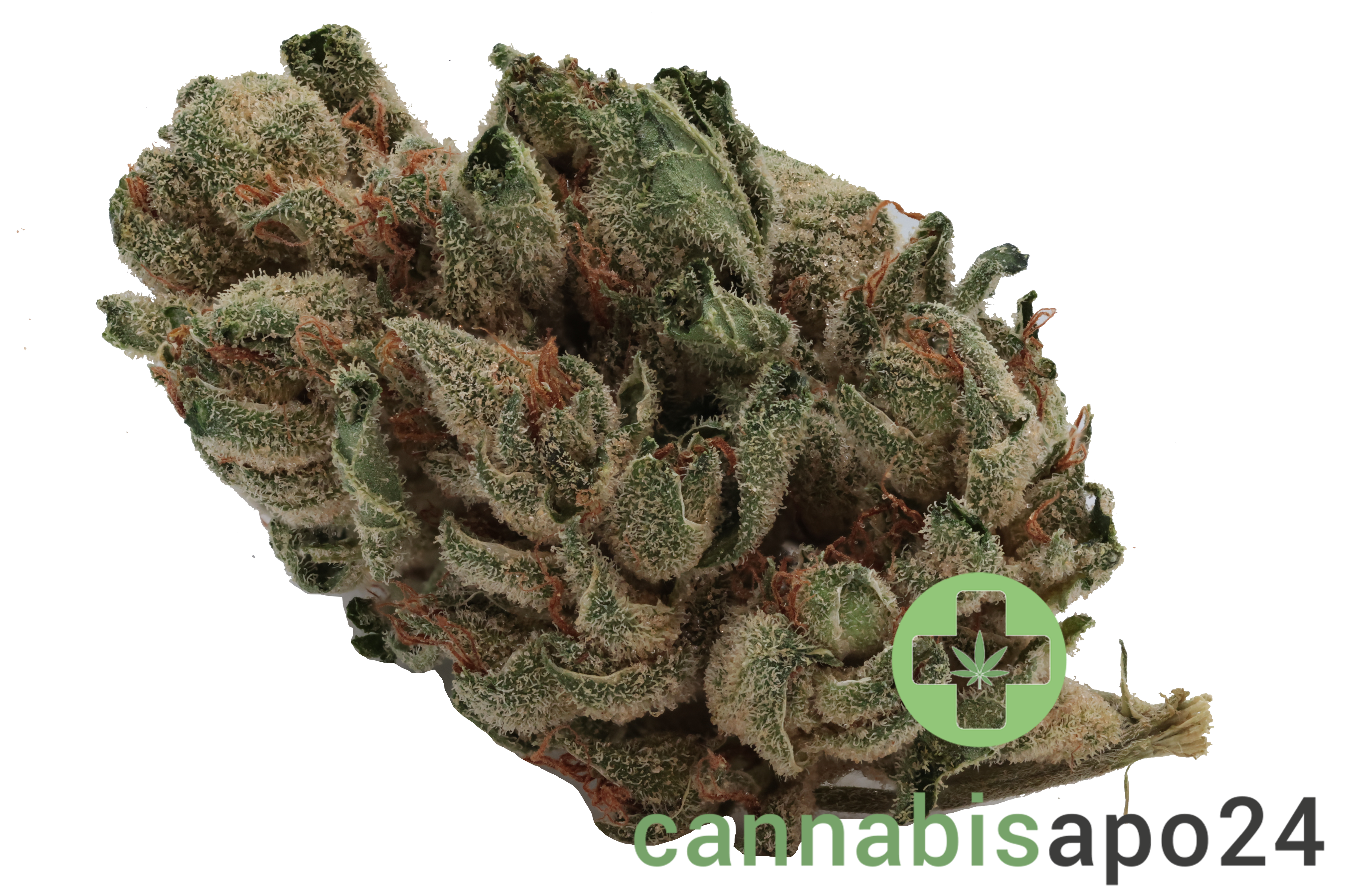 Navcora THC18 Spotlight Porto Sirius