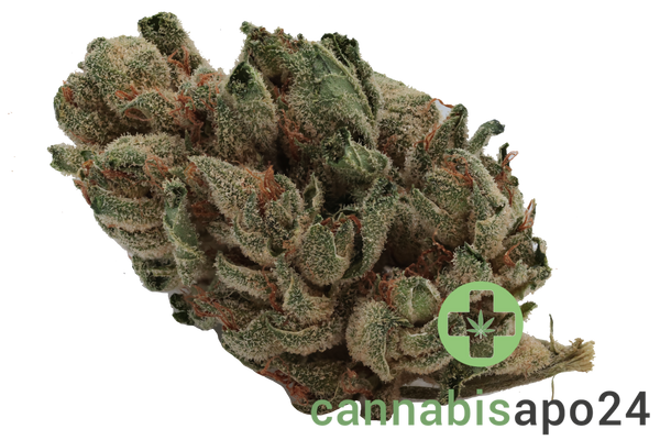 Navcora THC18 Spotlight Porto Sirius