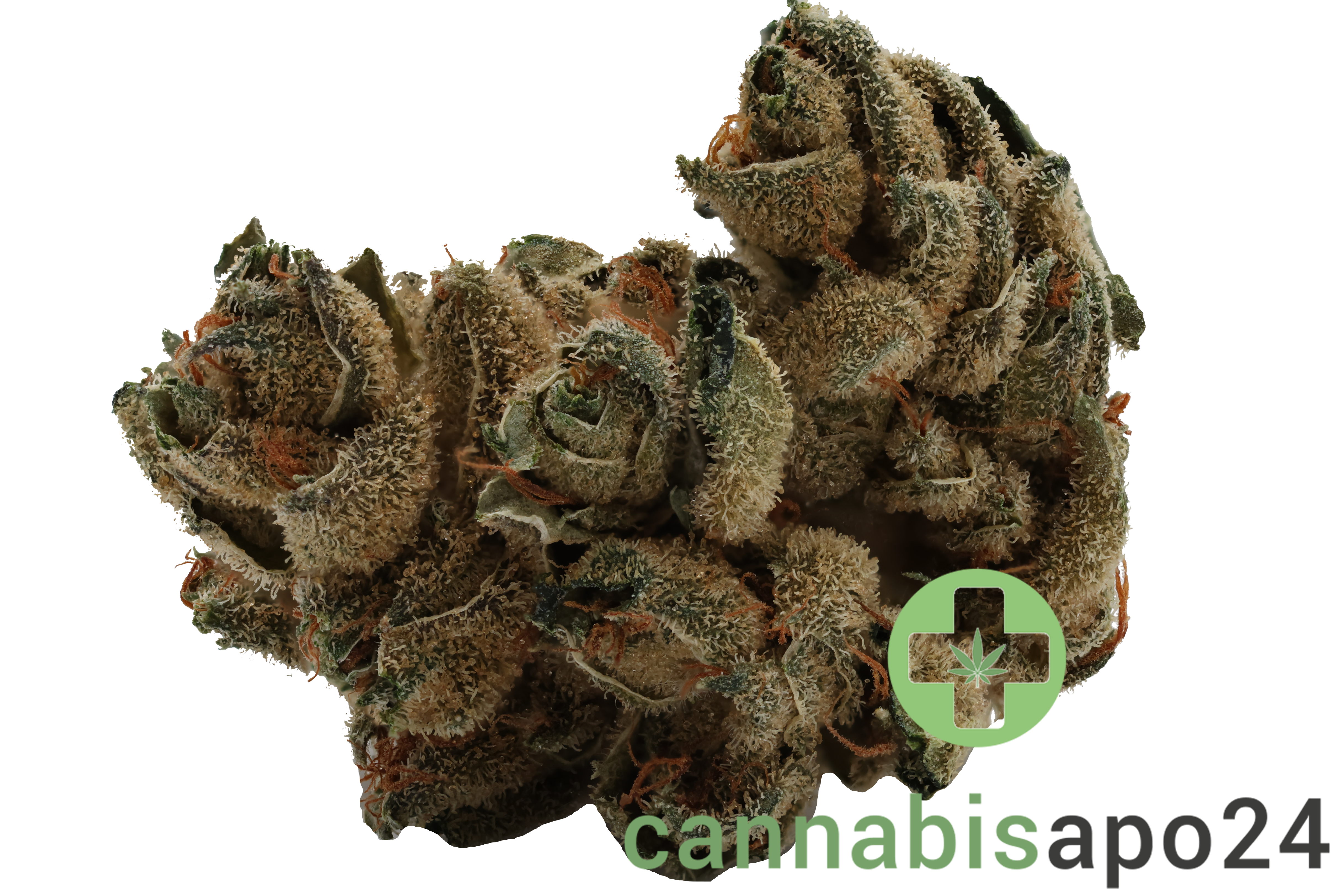 Navcora THC22 Spotlight Porto Sirius