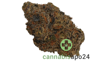 Organic Sweetgrass BLT 30/1 Blacklight