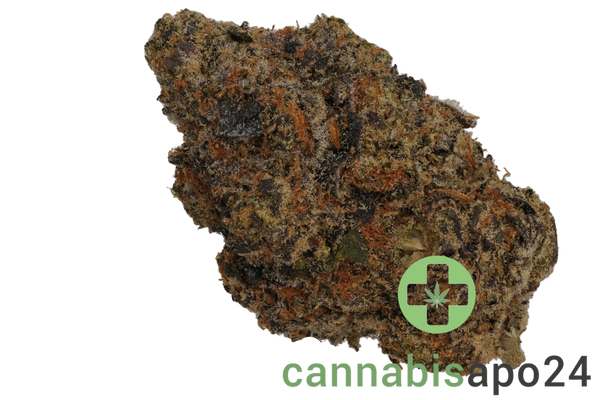 Organic Sweetgrass BLT 30/1 Blacklight