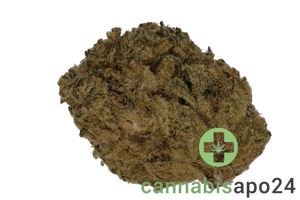 Organic Sweetgrass CB 29/1 Crunch Berries