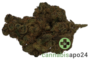 PHCANN Exotics 32/1 Spritzer